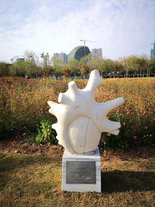 是不是以为进了雕塑馆，这其实是青岛城市阳台的人文景观